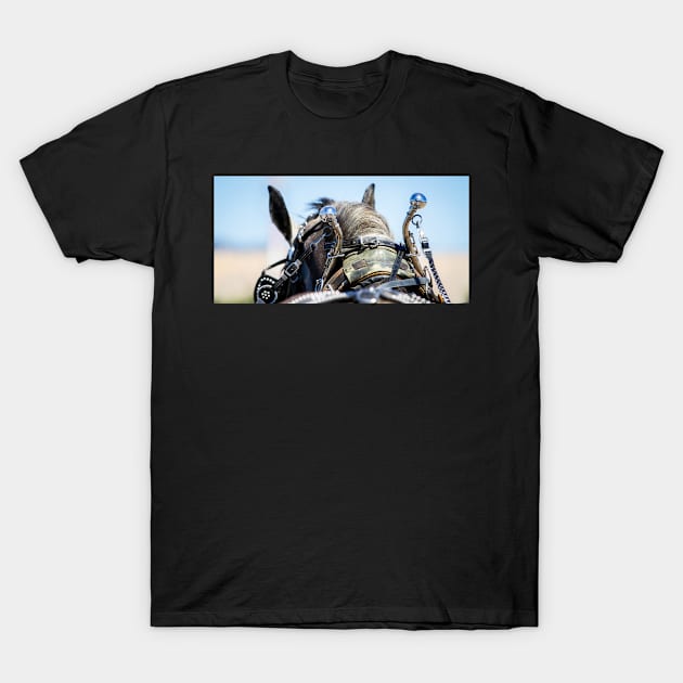 Horse Pictures T-Shirt by 3QuartersToday